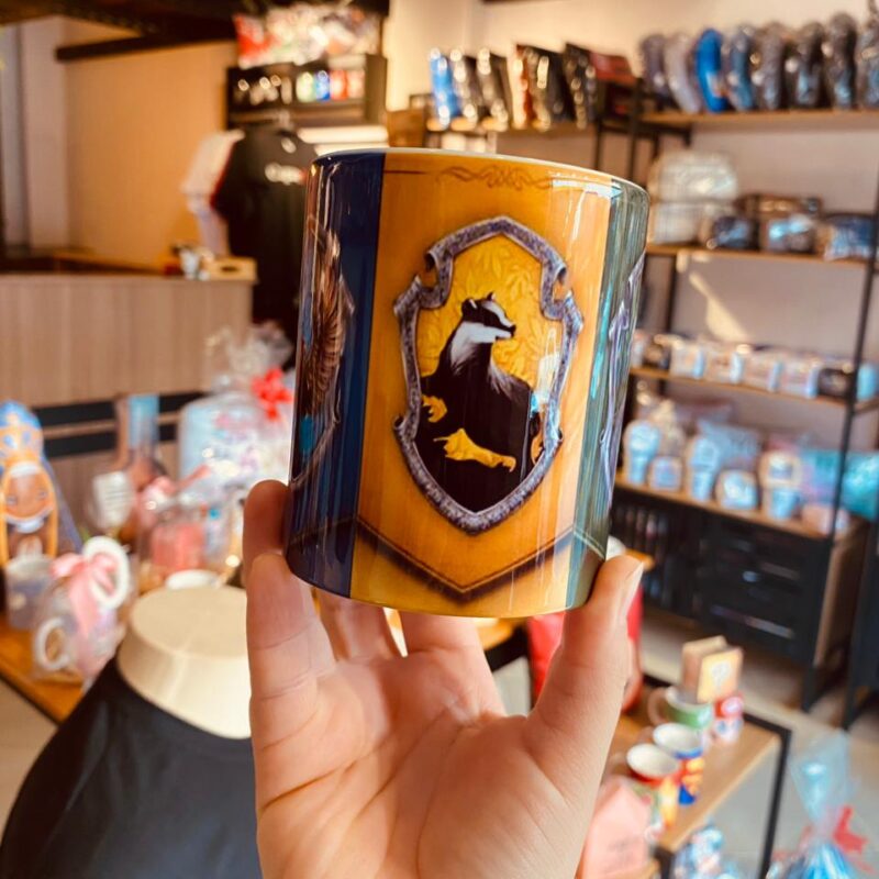 Can: Harry Potter casas