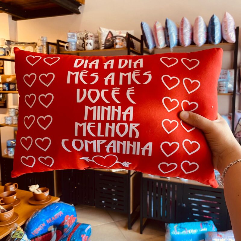 Al: Dia a dia, mês a mês voce é a minha melhor companhia - Variável