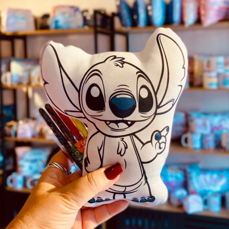Almofada Pinte e Lave Stitch