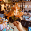 Flores Artificiais